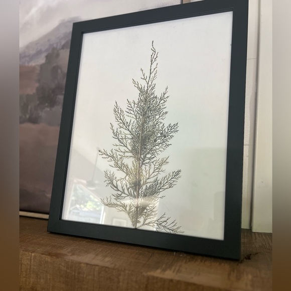 Framed Evergreen Branch Prints 12 x 15 - Picture 3 of 4